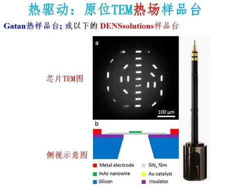 納米材料與器件中熱電效應與應力驅動的電子顯微鏡研究及其在電子產品及元器件研發中的應用