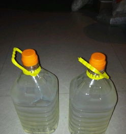 土豆淀粉餐具及日用品 環保批發新選擇